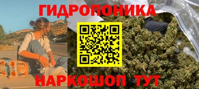 спиды Кинель