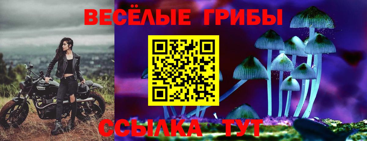 Лениногорск  Псилоцибиновые грибы GOLDEN TEACHER  Вход с VPN  Галлюциногенные грибы MAGIC MUSHROOMS 